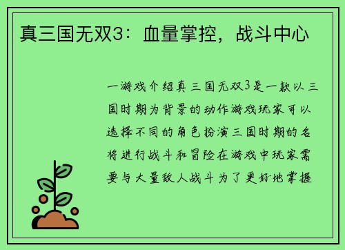真三国无双3：血量掌控，战斗中心