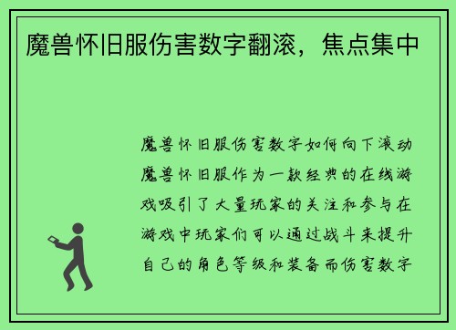 魔兽怀旧服伤害数字翻滚，焦点集中